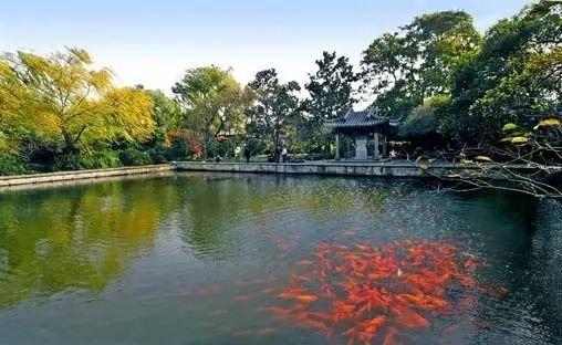 夜宿靈山小鎮(zhèn)拈花灣沙家浜宋城千古情金茂大廈純玩六日游