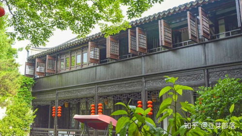 旅行Plog 風(fēng)起蘆葦蕩，心動(dòng)沙家浜